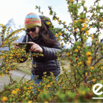 Elün: Sistema colaborativo de  monitoreo para áreas protegidas   de Chile